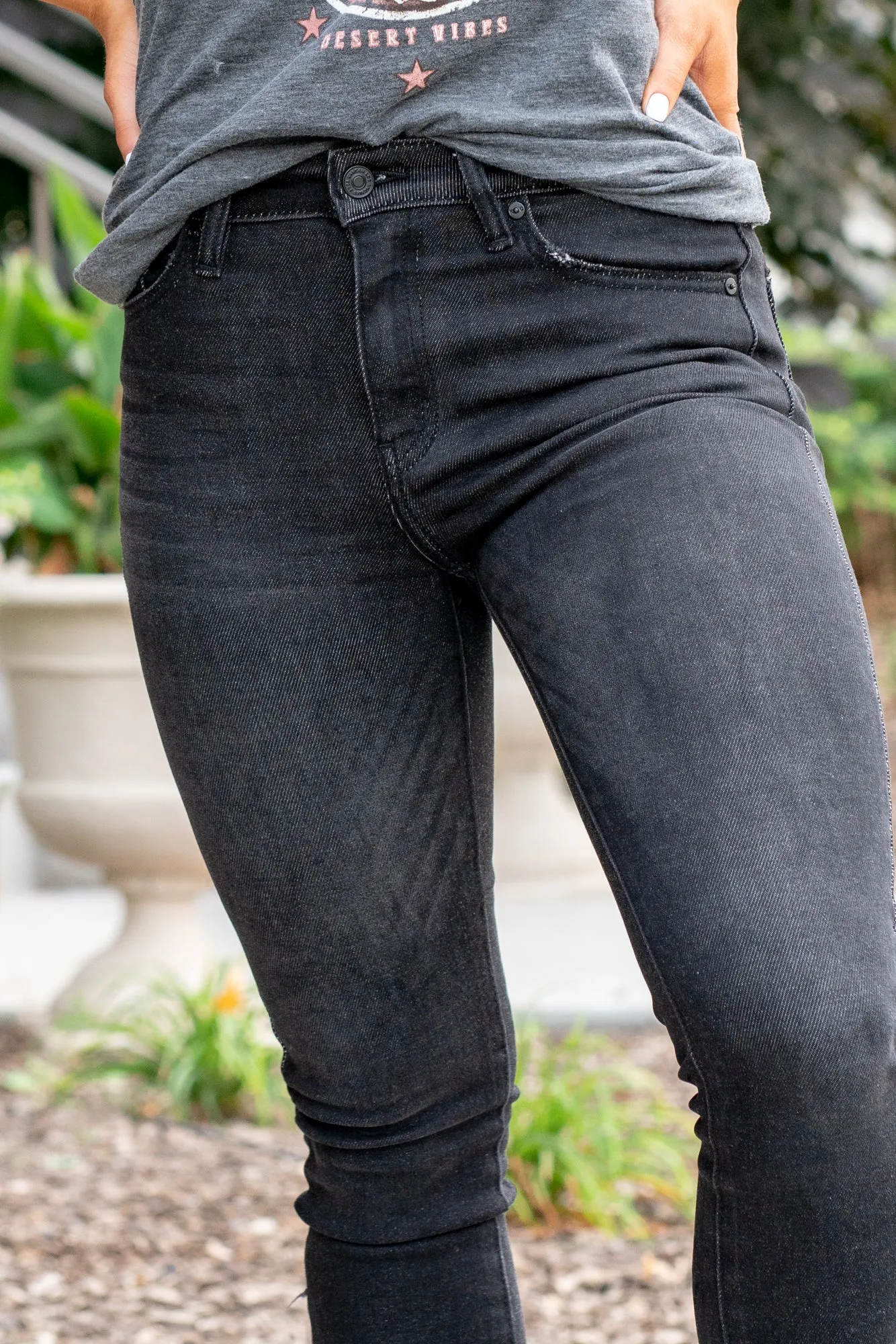 Charlie High Rise Skinny